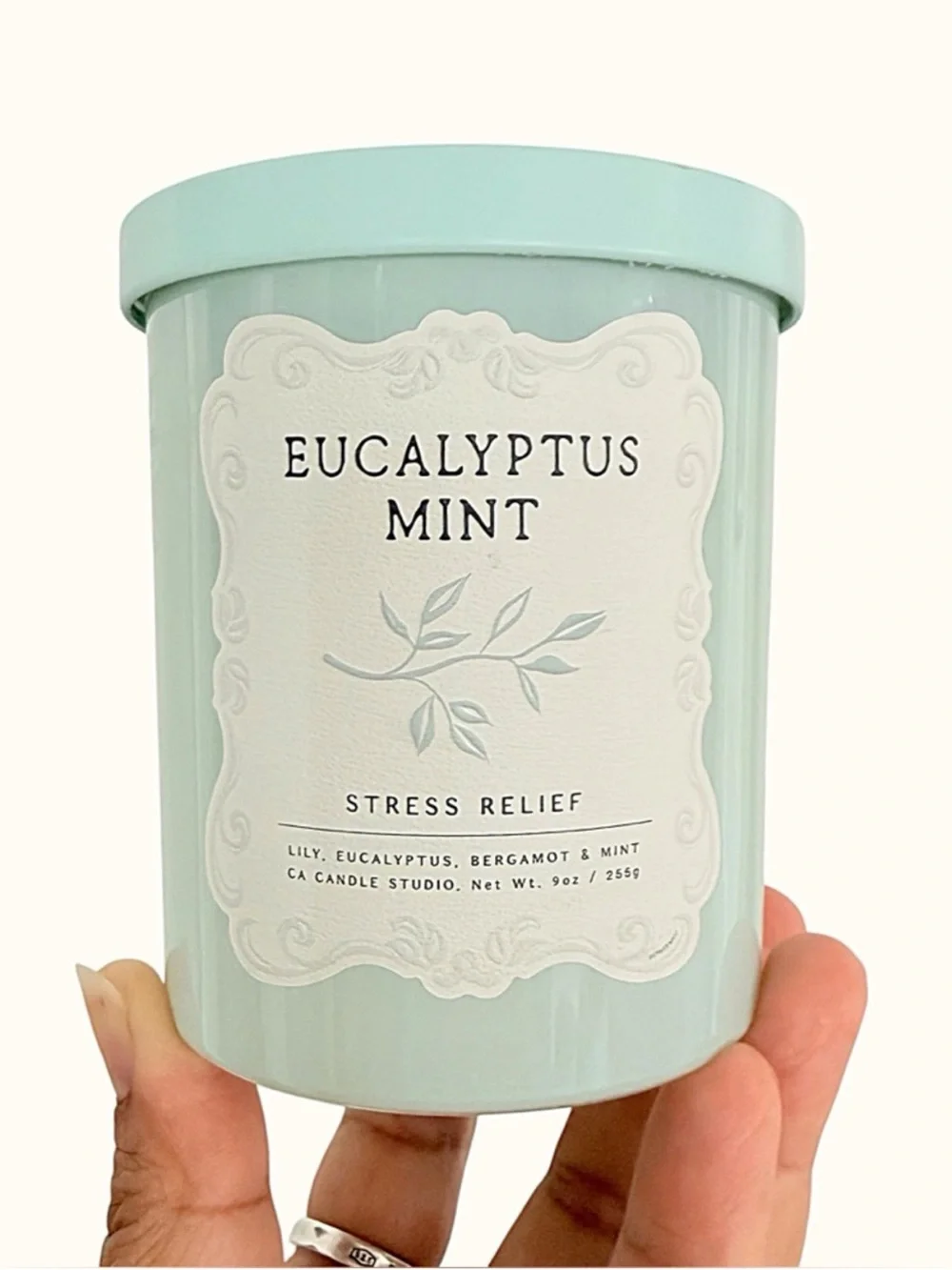 Leoben Company Eucalyptus Mint Stress Relief Candle - Mint